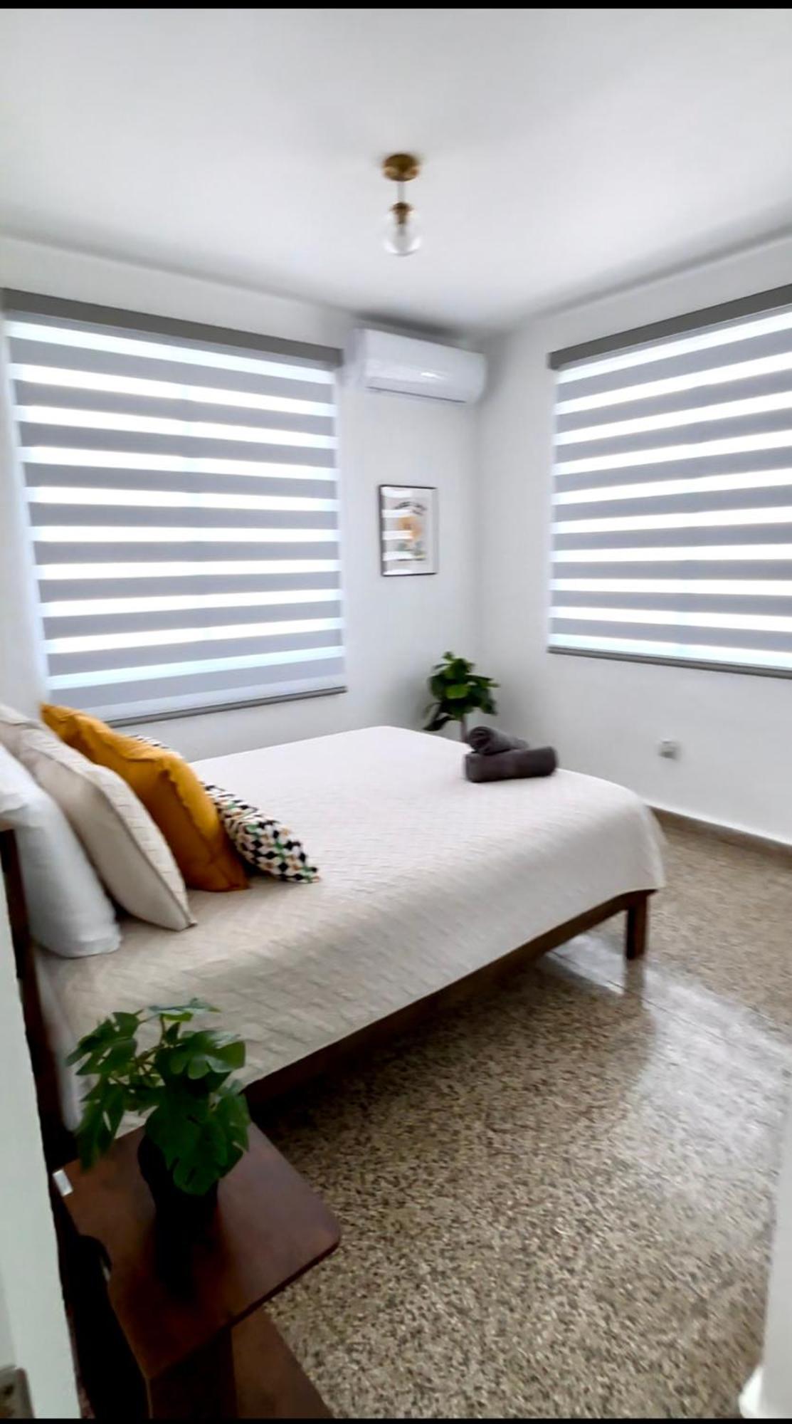 Urban Tropical Oasis In San Juan Apartment ภายนอก รูปภาพ